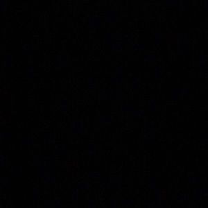 Meet your Posher, Maddie